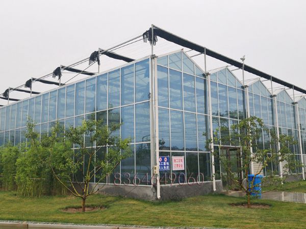 山東淄博觀光農業無土栽培智能玻璃溫室